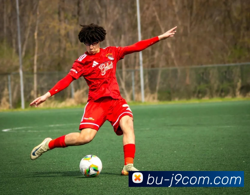 九游会官网平台生态图