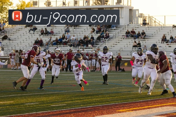 九游会官网全站App